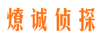 尼木市场调查